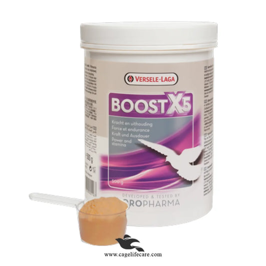 Boost X5 Powder - Enhance Energy Production in Pigeons