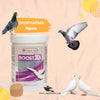 Boost X5 Powder - Enhance Energy Production in Pigeons