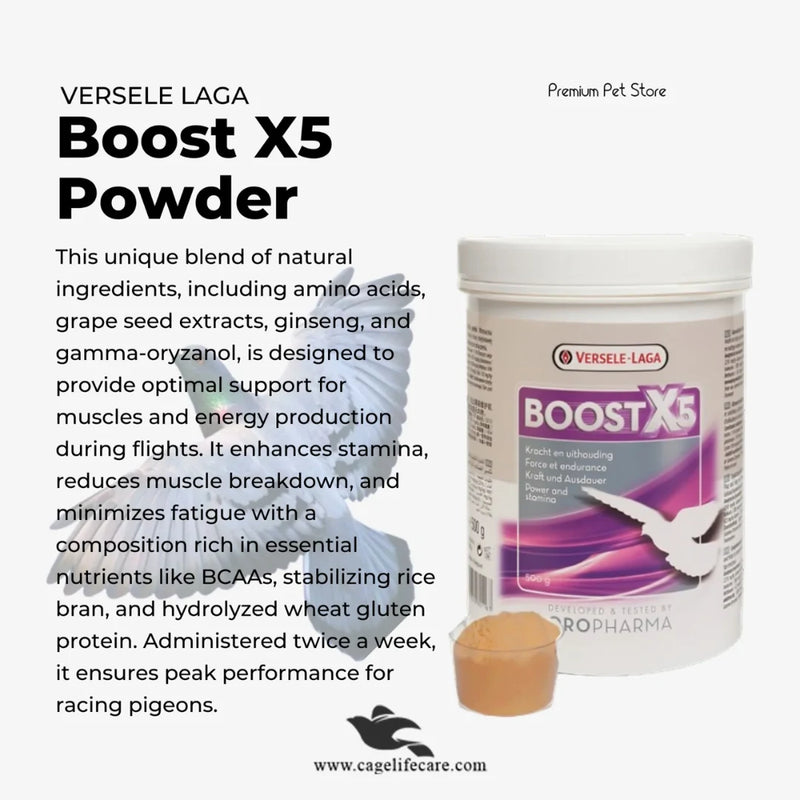 Boost X5 Powder - Enhance Energy Production in Pigeons