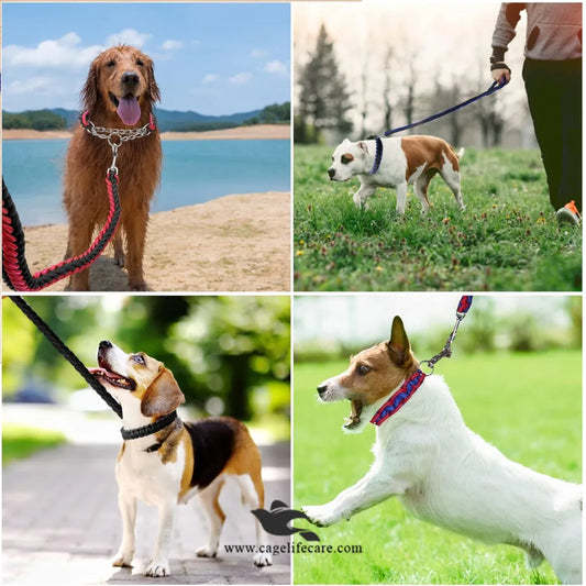 Braided Leash with Choke Color for Dogs