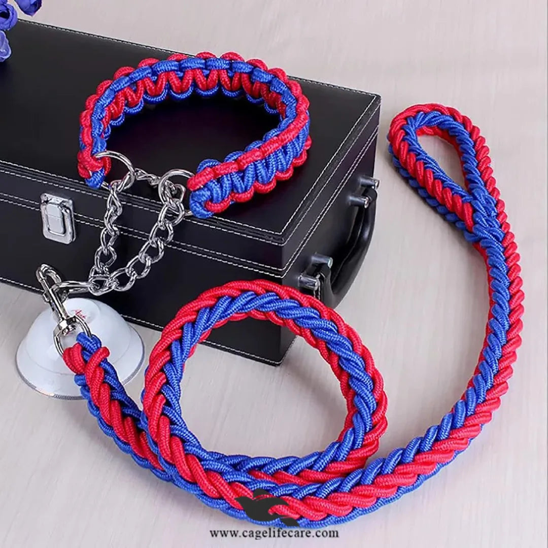 Braided Leash with Choke Color for Dogs