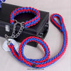 Braided Leash with Choke Color for Dogs