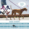 Braided Leash with Choke Color for Dogs