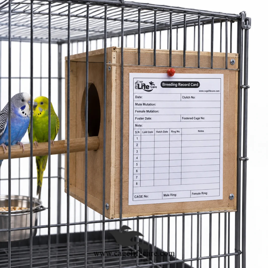 Bird Breeding Record Cards for Professional Breeders