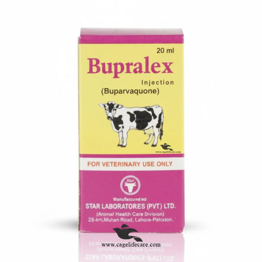 Burpralex Injection for cattle tropical theileriosis