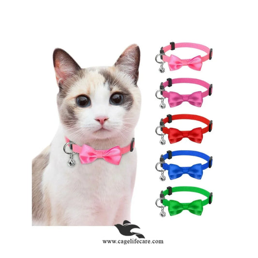 Butterfly Bow Cat Collar