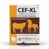 CEF-XL Injection 1g – Ceftiofur Sodium for Cattle, Buffalo, Sheep & Goat