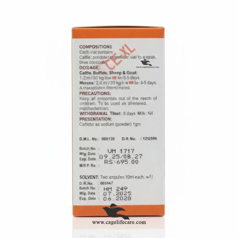 CEF-XL Injection 1g – Ceftiofur Sodium for Cattle, Buffalo, Sheep & Goat