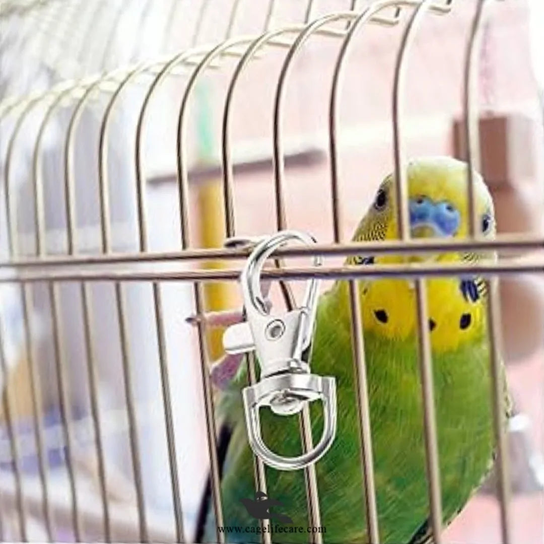 Cage Lock – Steel Security for Bird Cages