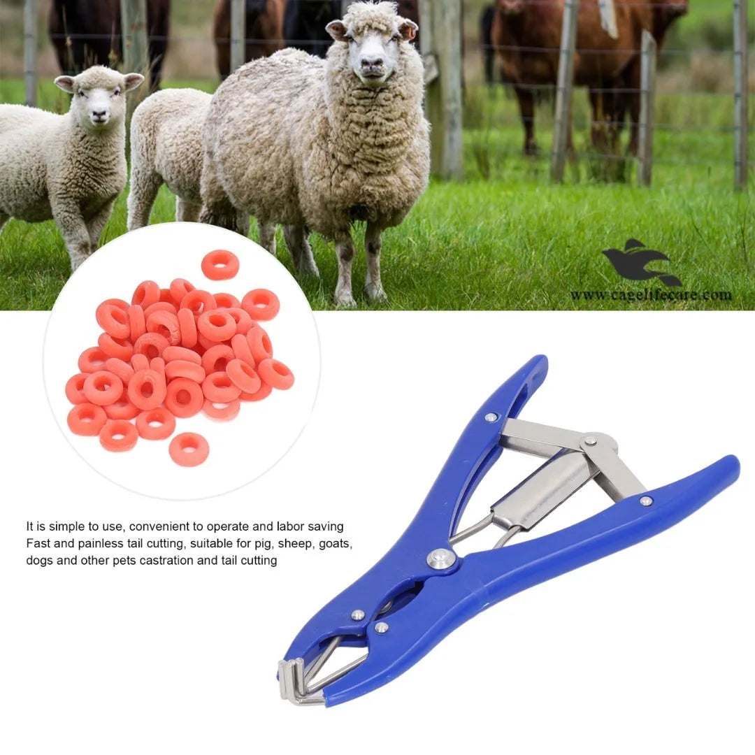 Castrator Plier Elastrator Tool – Castration & Tail Applicator