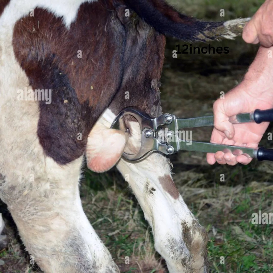 Castrator – Heavy-Duty Stainless Steel Veterinary Trocastors for Livestock Animals