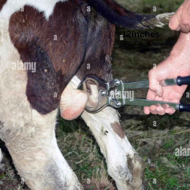 Castrator – Heavy-Duty Stainless Steel Veterinary Trocastors for Livestock Animals