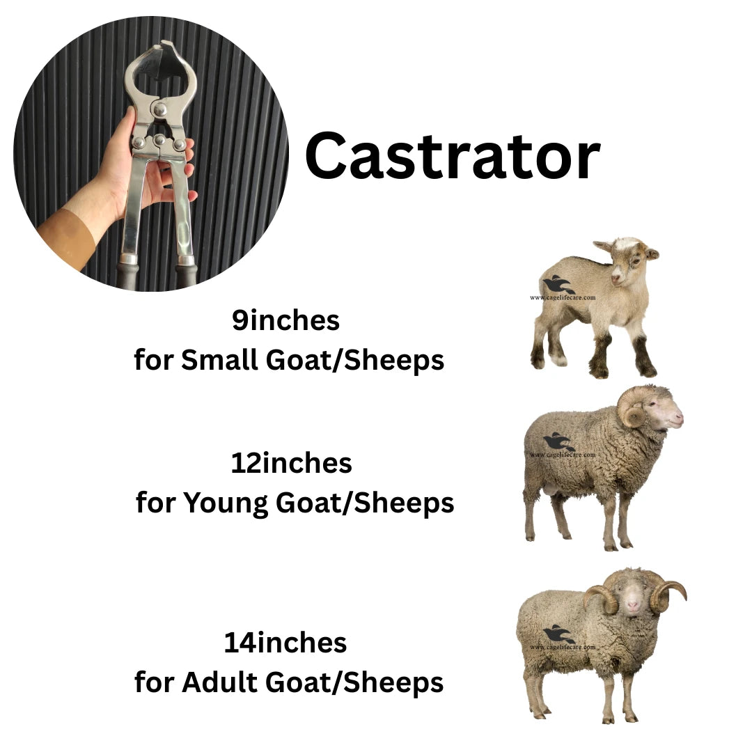 Castrator – Heavy-Duty Stainless Steel Veterinary Trocastors for Livestock Animals