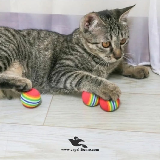 Vibrant EVA Foam Cat Ball for Exercise