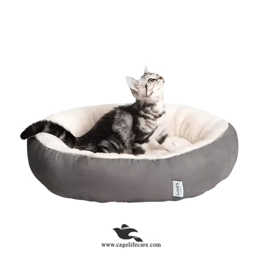 Cat ears pet bed with tail and playball for cats and dogs