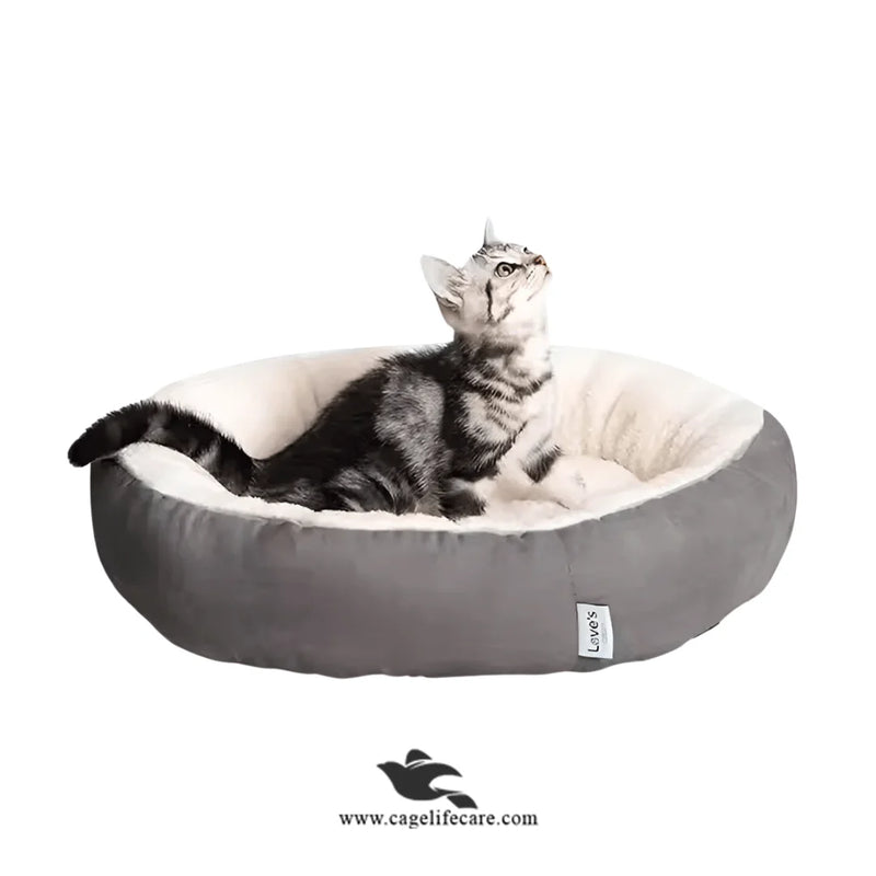 Cat Ears Plush Bed with Tail & PlayBall for Cats & Small Dogs
