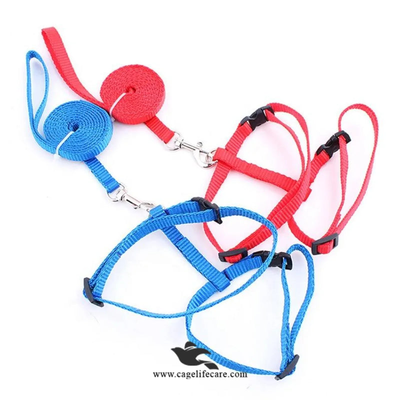 Cat Harness with Leash Set – Safe for Outdoor Walks (Imported)