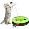 Cat Playing Round Toy Inside Ball With Spring Mouse – Interactive Fun for Cats
