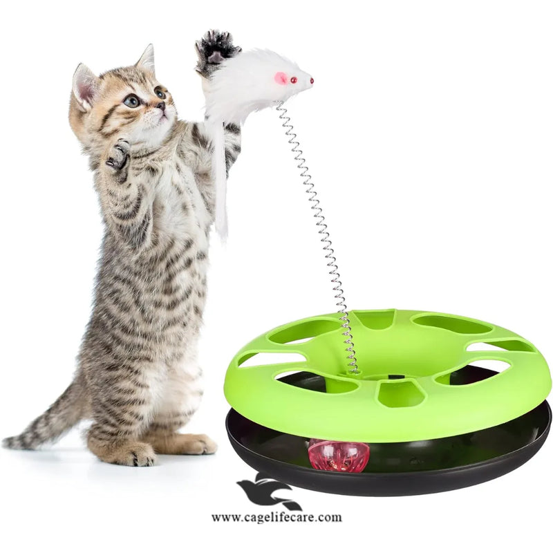 Cat Playing Round Toy Inside Ball With Spring Mouse – Interactive Fun for Cats