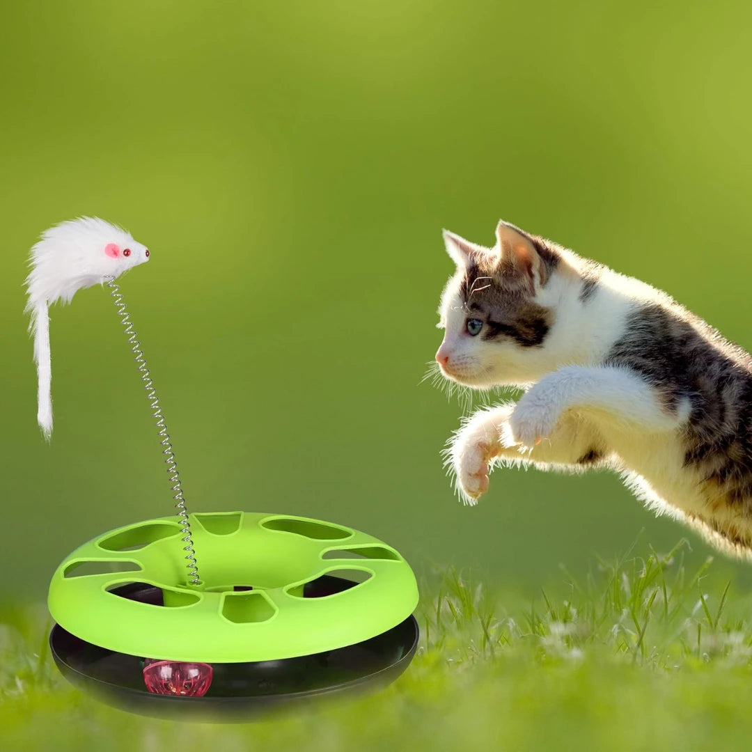 Round Track Cat Toy for Hunting and Exercise