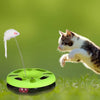 Cat Playing Round Toy Inside Ball With Spring Mouse – Interactive Fun for Cats