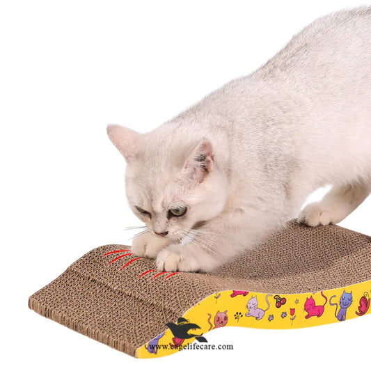 Cat scratching pad with ergonomic backrest for indoor cats