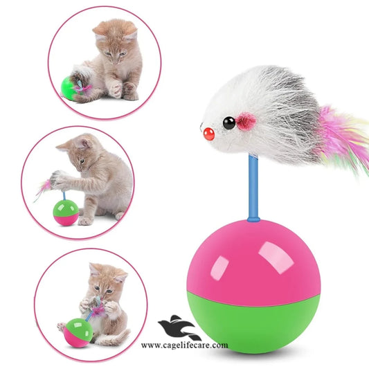 Indoor Cat Play Toy – Tumbler Ball