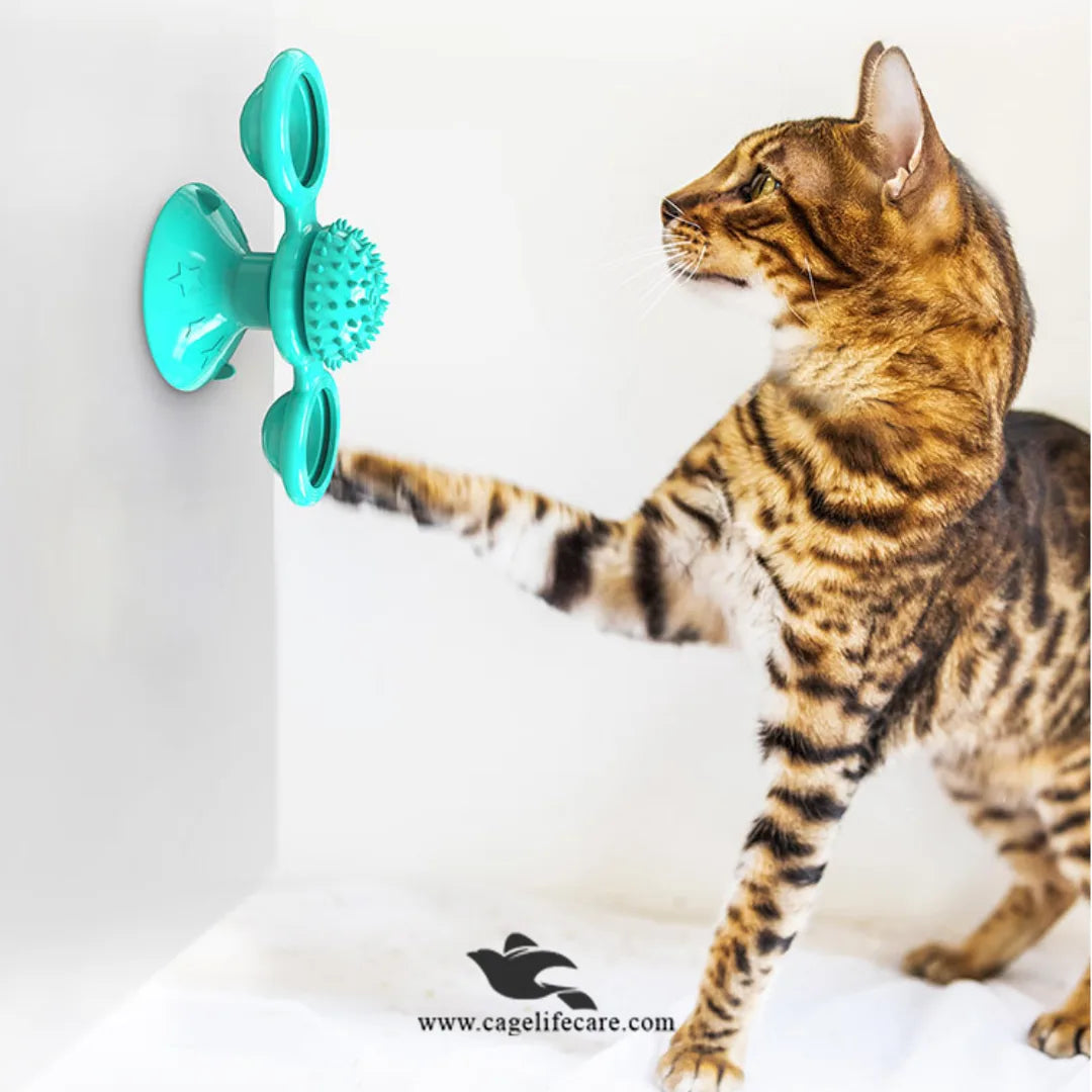 Cat Playing with Catnip Balls in Windmill Toy