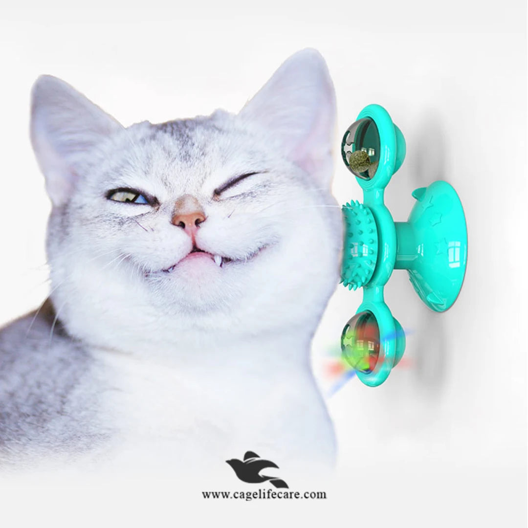 Small Dog and Cat Interactive Toy with Lights