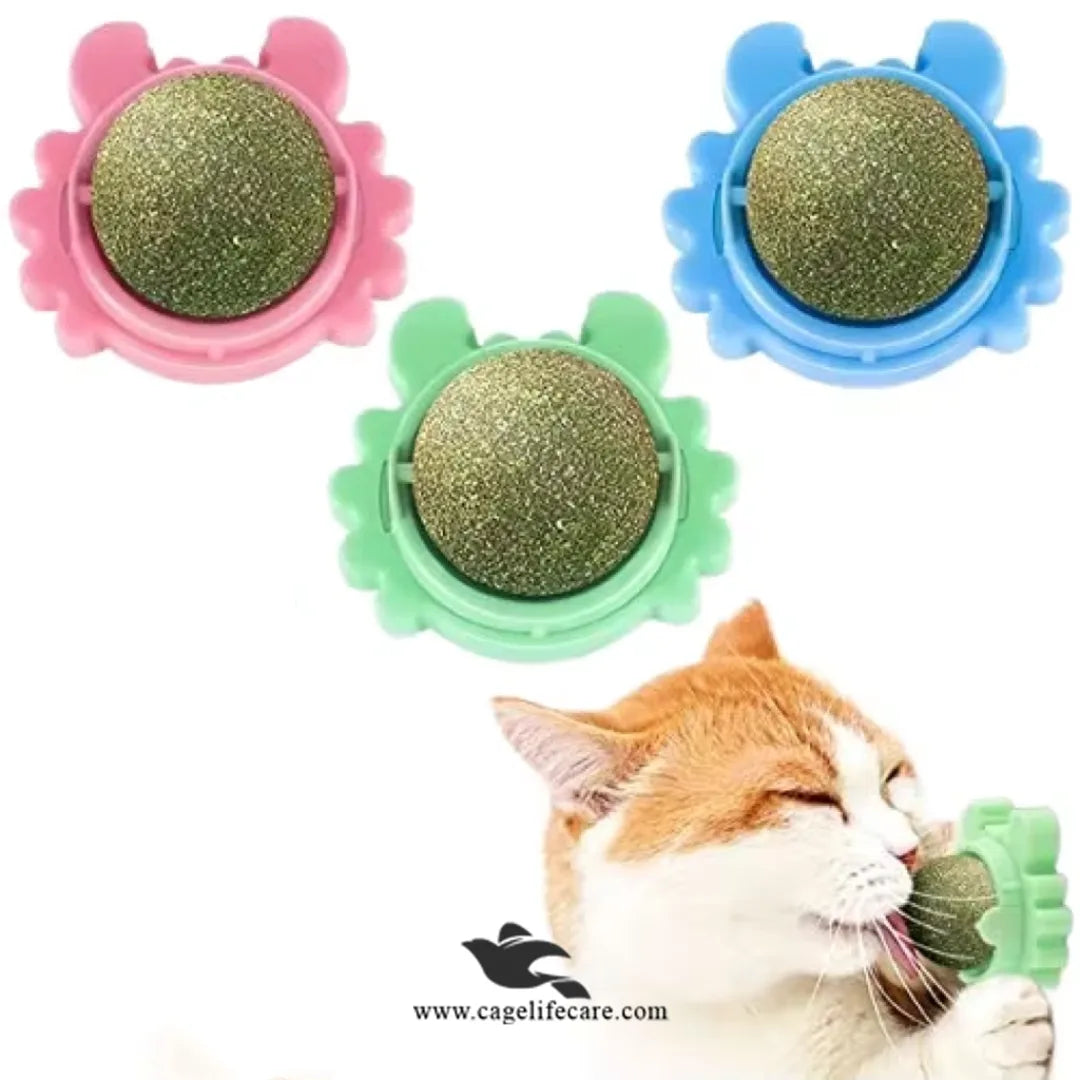 Catnip Ball Toy Treat for Cats