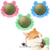 Catnip Ball Cat Snacks Toy Treats – Natural Healthy Chewing Fun wall mounted