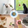 Catnip Ball Cat Snacks Toy Treats – Natural Healthy Chewing Fun wall mounted