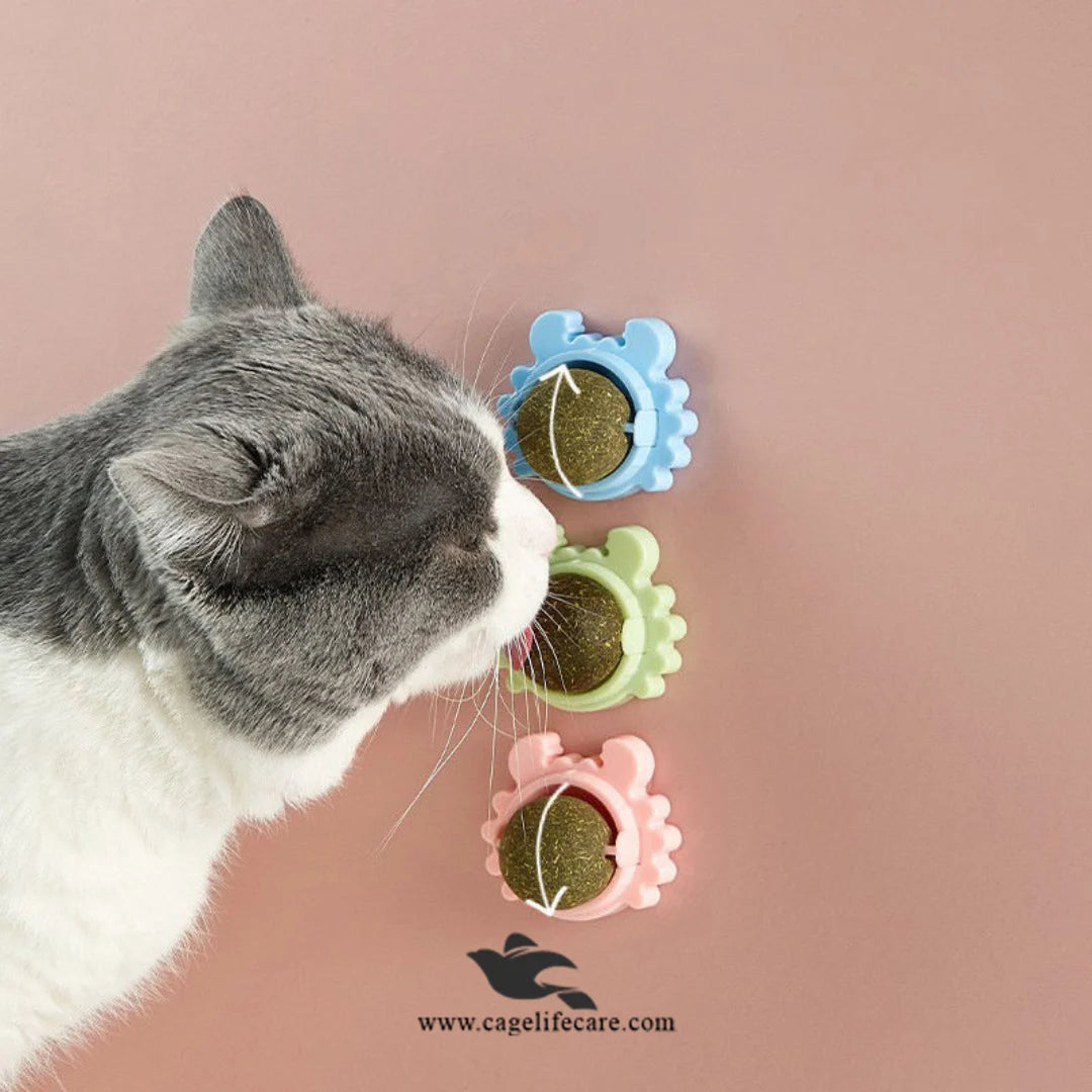 Natural Catnip Treat for Cats to Play