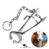 Cattle Bull Nose Holder – Heavy-Duty Bull Holder with Chain for Safe Livestock Handling