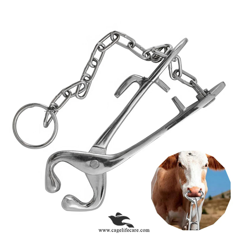 Cattle Bull Nose Holder – Heavy-Duty Bull Holder with Chain for Safe Livestock Handling