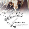 Cattle Bull Nose Holder – Heavy-Duty Bull Holder with Chain for Safe Livestock Handling