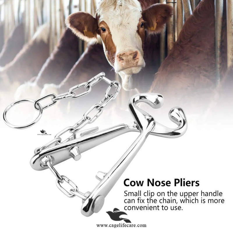 Cattle Bull Nose Holder – Heavy-Duty Bull Holder with Chain for Safe Livestock Handling