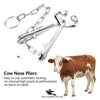 Cattle Bull Nose Holder – Heavy-Duty Bull Holder with Chain for Safe Livestock Handling