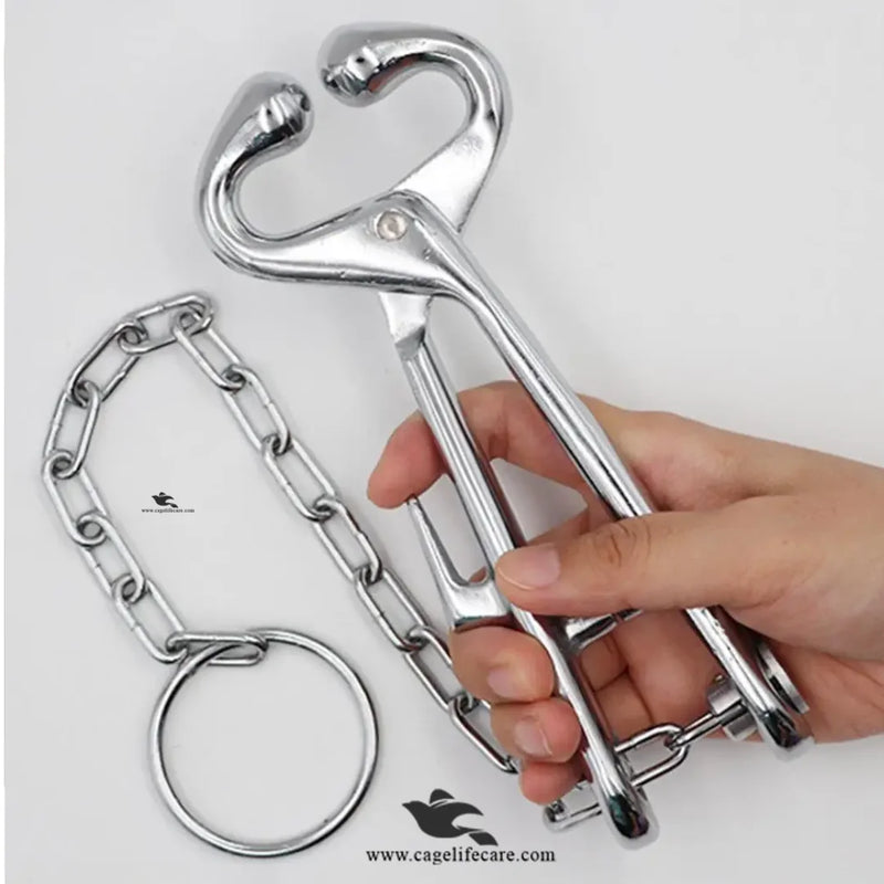 Cattle Bull Nose Holder – Heavy-Duty Bull Holder with Chain for Safe Livestock Handling