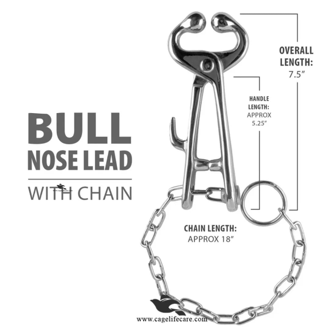 Dairy farm bull handling equipment