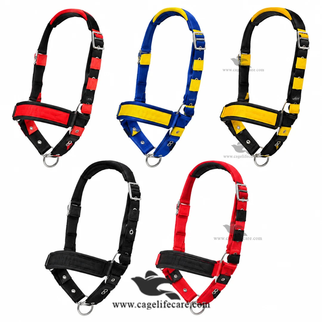 Durable livestock head halter with iron locks