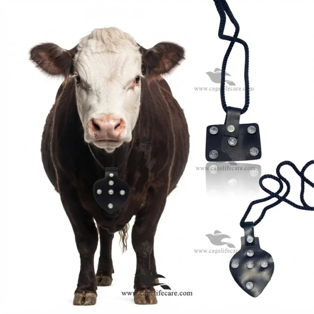 Heart shape leather Taweez necklace for cows