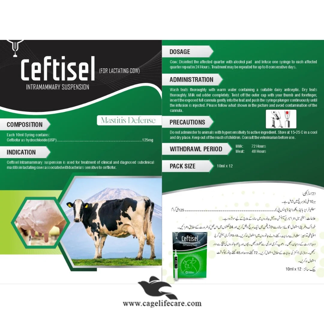 Mastitis treatment injection for cows