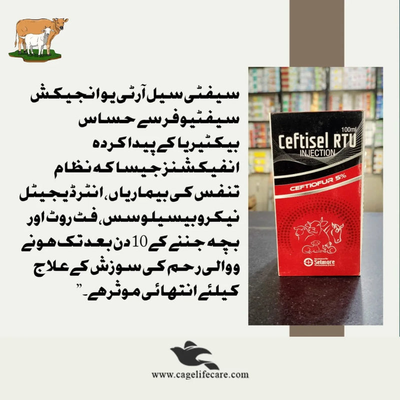 Ceftisel RTU Injection – Antibiotic for Dogs, Cats & Livestock Animals