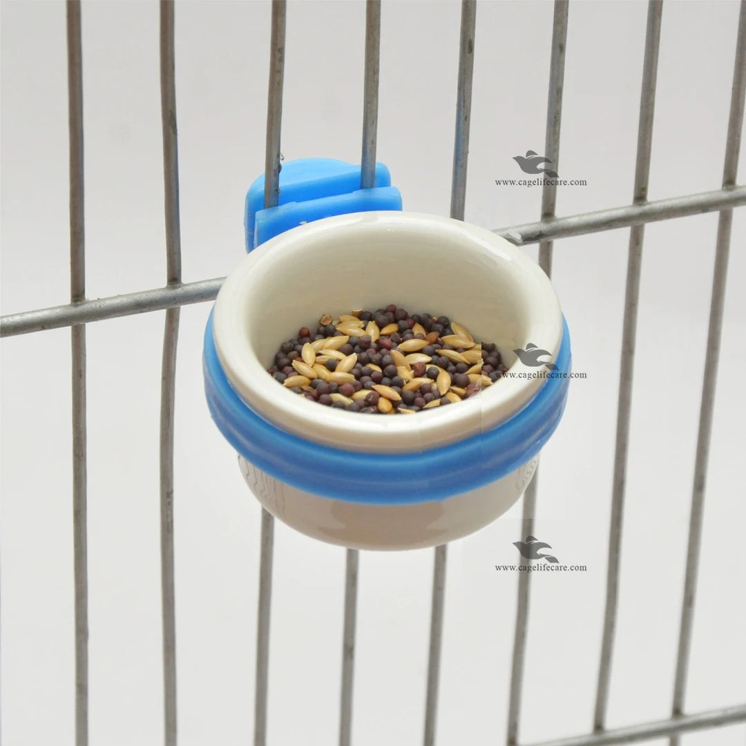 Ceramic Grit & Softfood Pot For Small Birds with Canary and finches seeds