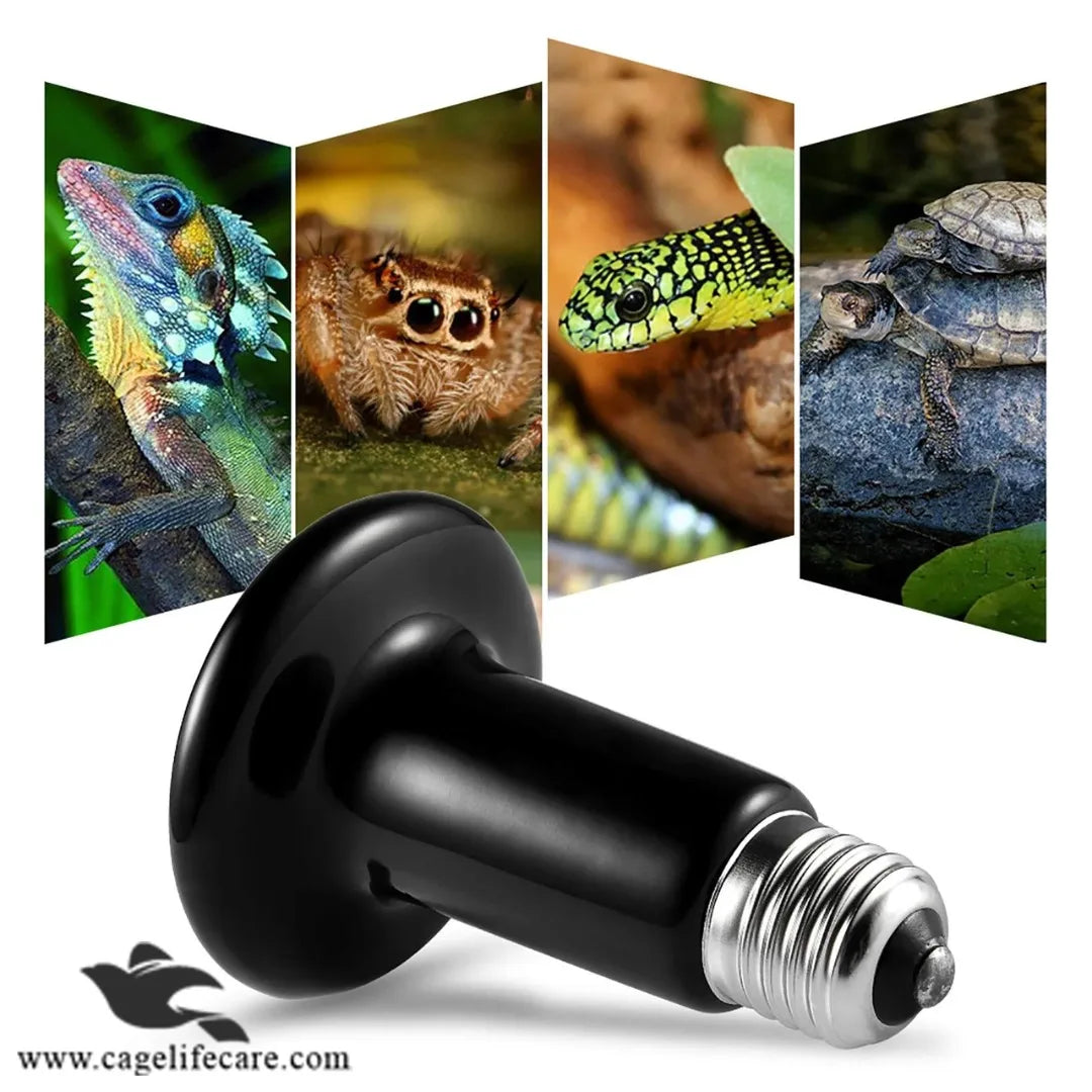 Ceramic Heat Emitter 100W - No-Light Heat for Birds & Pets best for turtles 