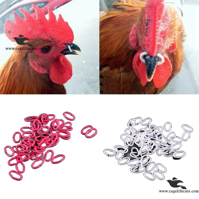 Chicken Anti-Pecking Beak Clamps - Plastic Nose Clips Pins