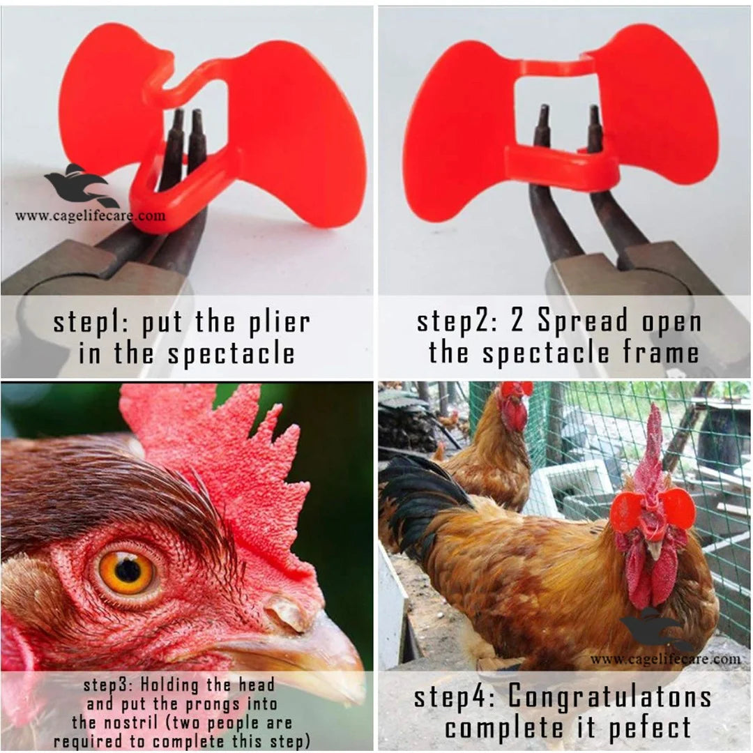 Chicken Eye Blinder Glasses – Pinless Peepers - stop fighting and pluckings - intsallation guide