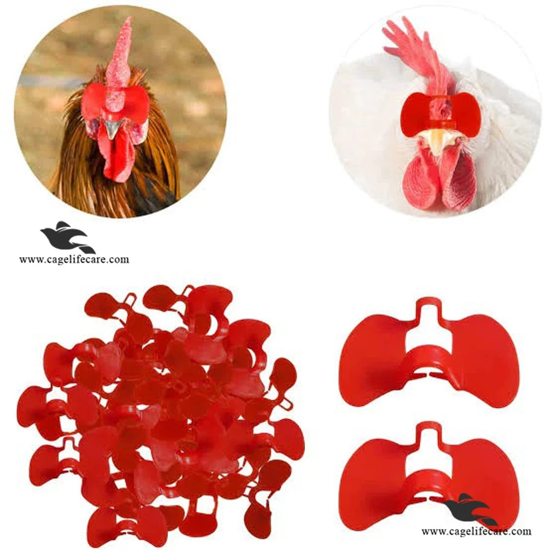 Chicken Eye Blinder Glasses – Pinless Peepers
