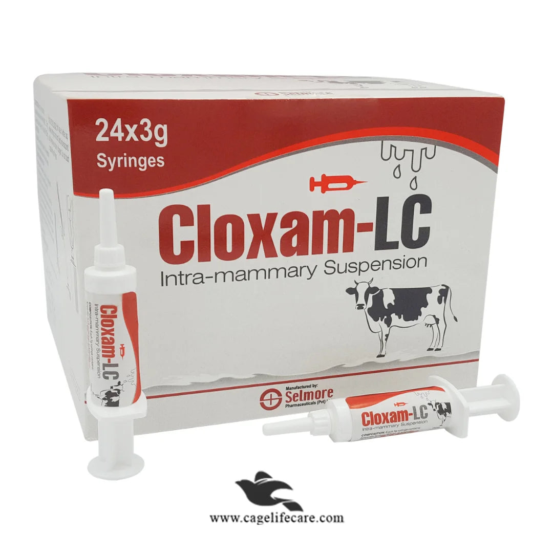 Cloxam LC Intra-mammary Suspension – Mastitis Treatment for Lactating Cows